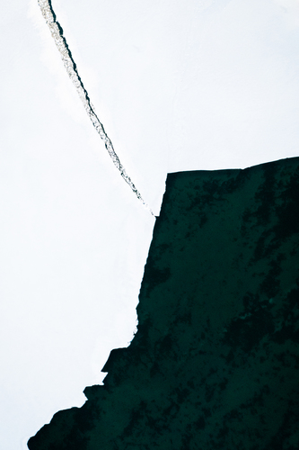 Majestic Fragility #5
