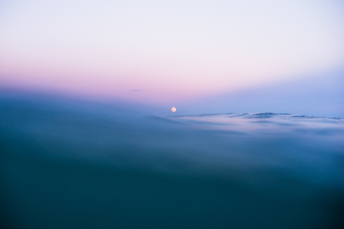 Moonrise Kingdom