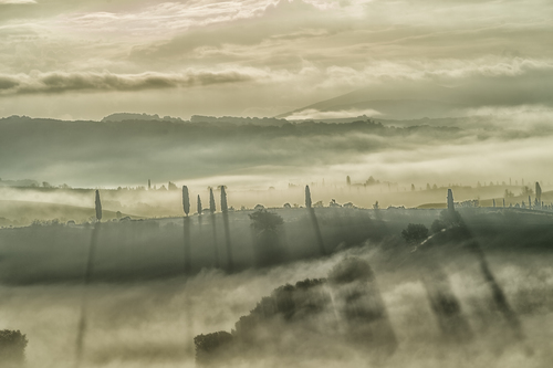Ghosts in the fog