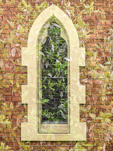 Religion Overgrown