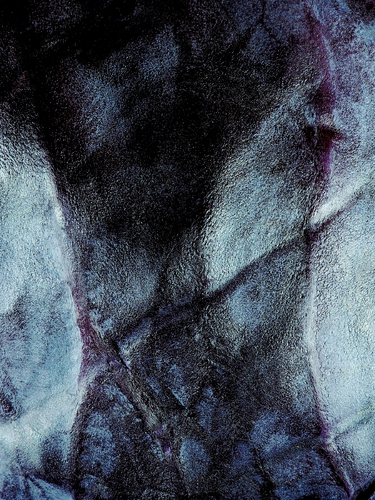 Red Cabbage Torso