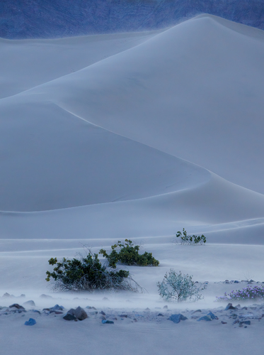 Ibex Dunes Blue Hour