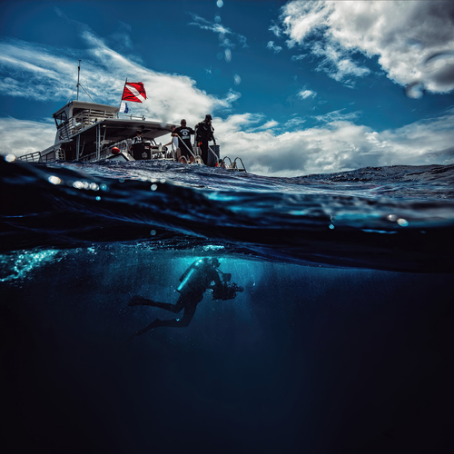 Dive in 