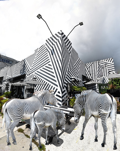Lunch at the Zebra Cafe