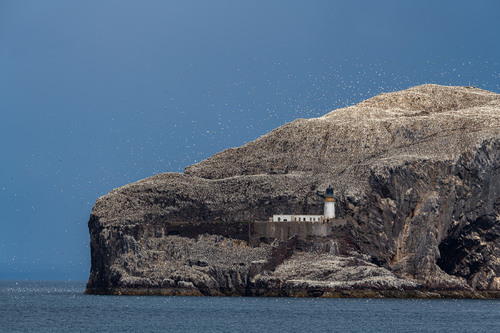 Bass Rock