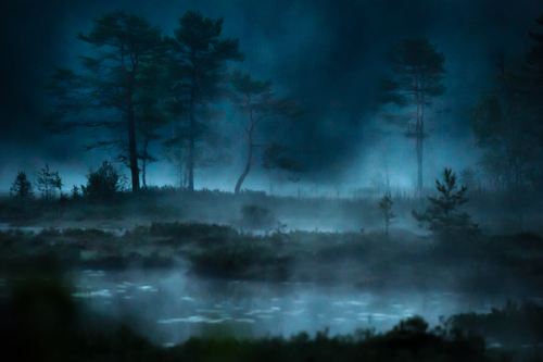 Foggy night