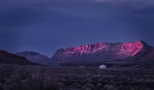 Horse Camp