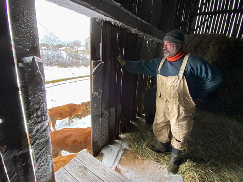 Treasured Farm - 3