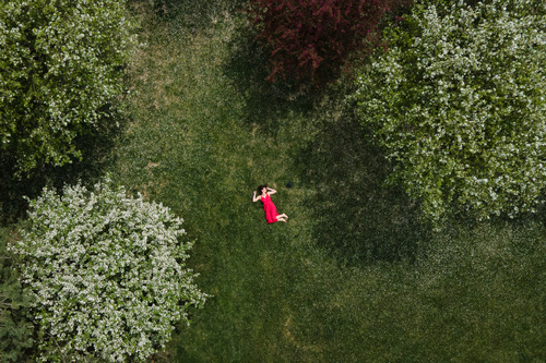 Bed of Petals