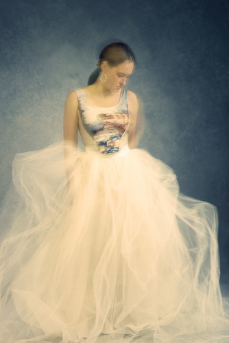 Renaissance Blur #2