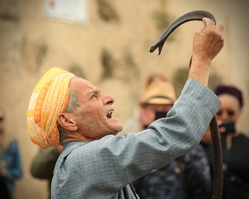 Serpent Tamer
