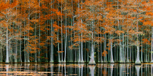 Autumn's Poem