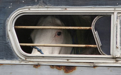 Forlorn