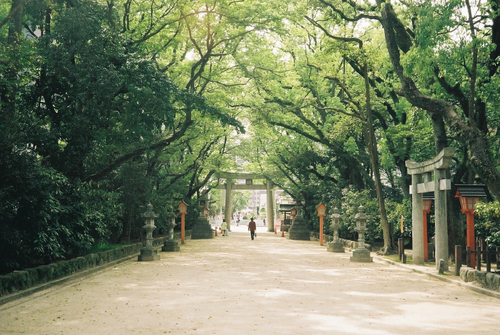 Sumiyoshi Shrine