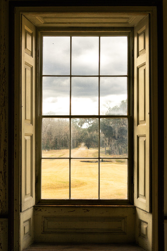 The Window