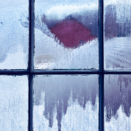 Frosty View