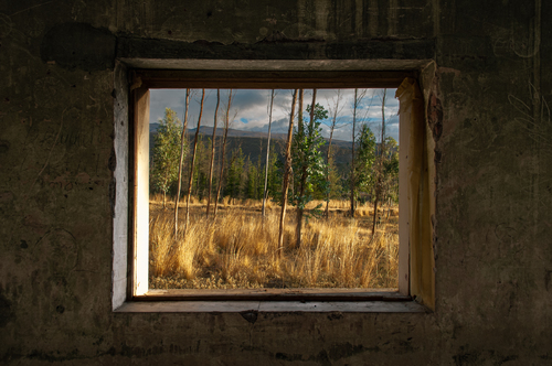 Beyond the Frame