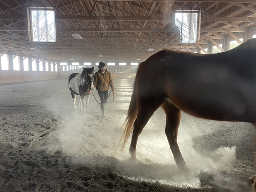 Farm Chores on a winter morn