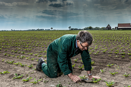 The farmer