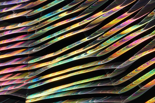 Spiders web #2