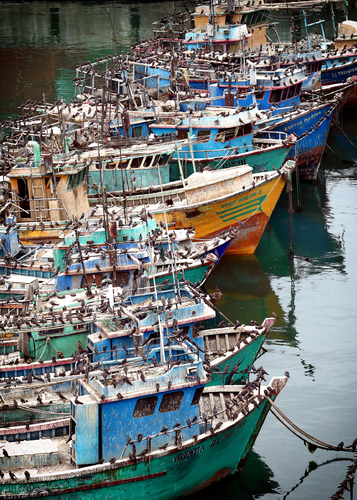 SA Fishing Fleet