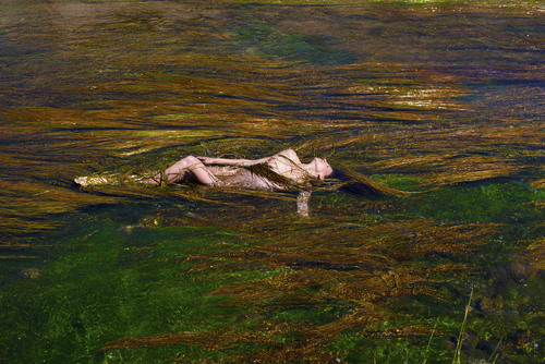 Woman In Reeds