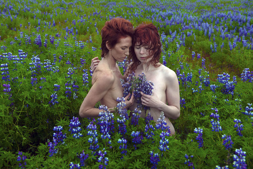 Nudes In Lupines