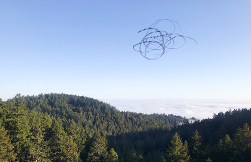 Lockdown Hawks (Mt. Tamalpais)