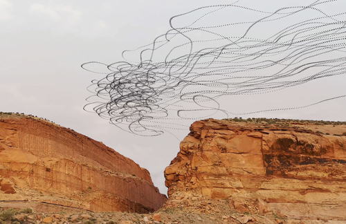 Lockdown Vultures (Moab Mesa)