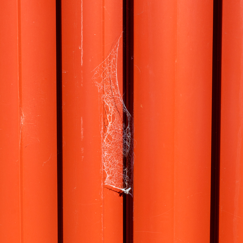 lone web on fence