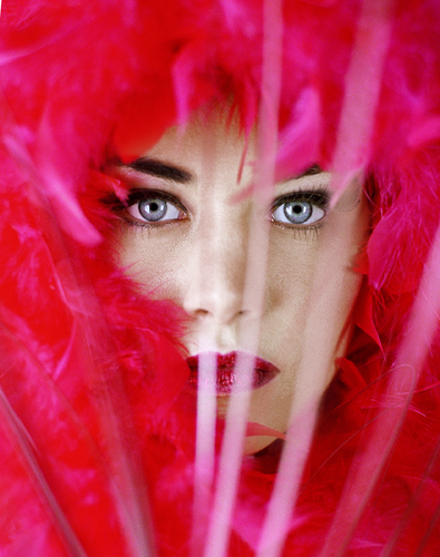 Feather Lion