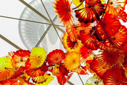 Flowers at the Needle