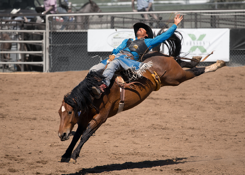 Not His First Rodeo