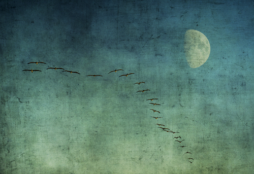 Formation Flying #2