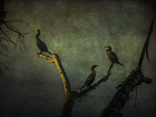 Secret World