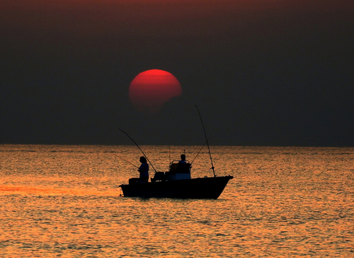 Tranquility