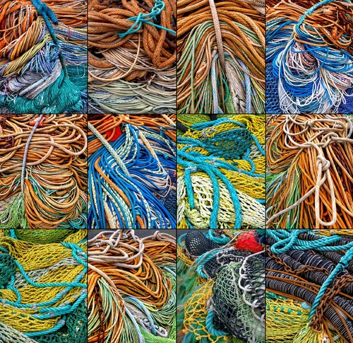 Coastal Lines