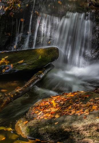 Autumn Falls