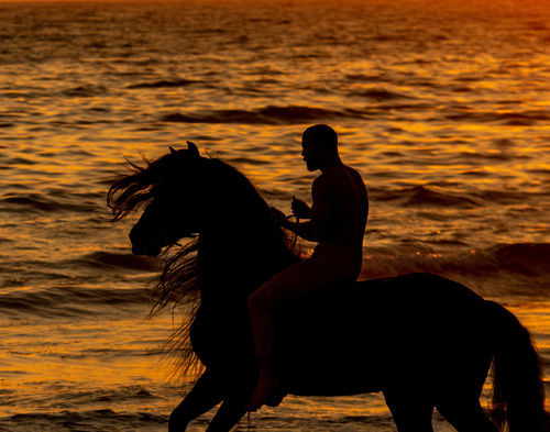 Sunset Dreams