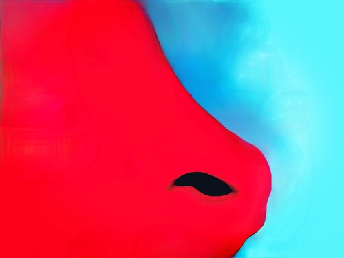 NOSE