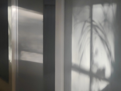 SHADOWS ON THE WALL