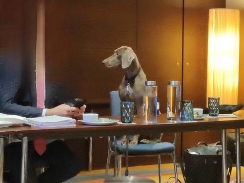 ANNUAL GENERAL MEETING