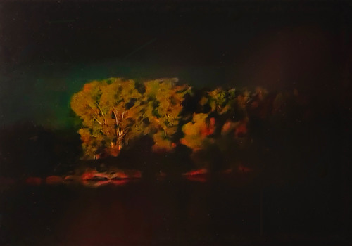 Danube Landscape VI