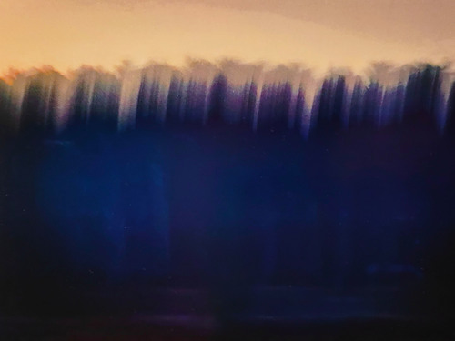 Danube Landscape VIII