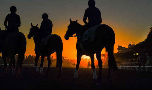Morning at the track