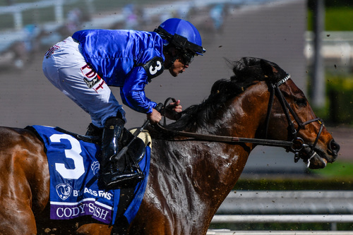 Cody's Wish Wins Dirt Mile