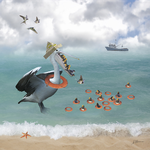 The swallows swimming class