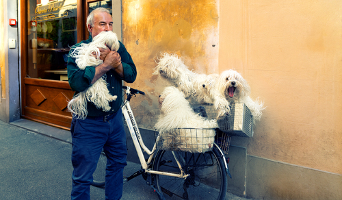 Dog lover Florence