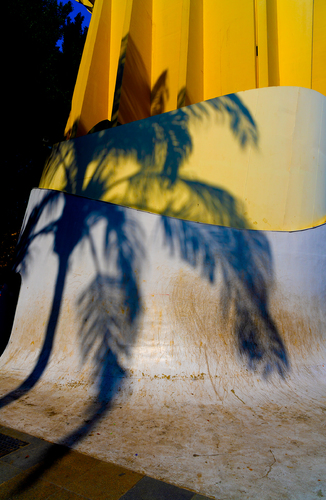 Palm shadow