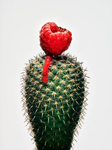 Soft Fruit